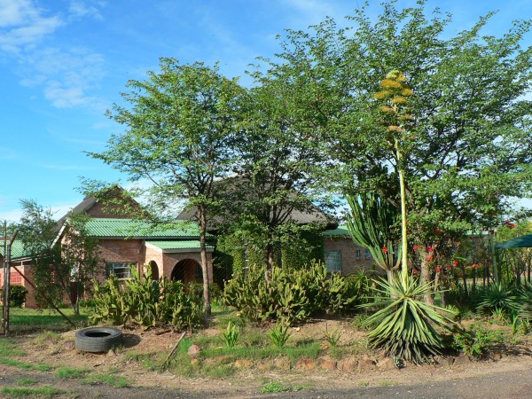 Komunitn dm