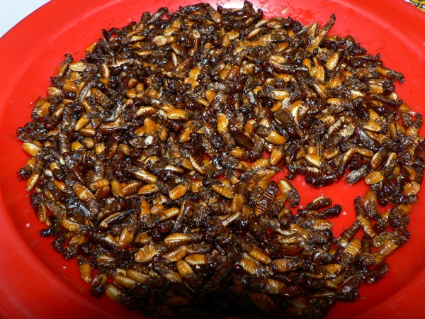 Pochoutka inswa