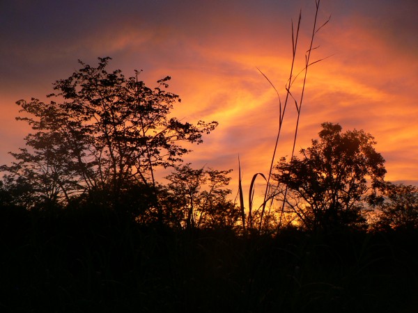 veer ve Hwange