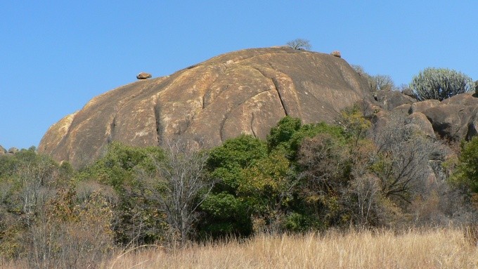 dwalas 1
