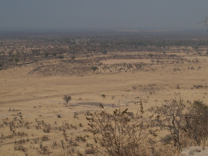 safari 01