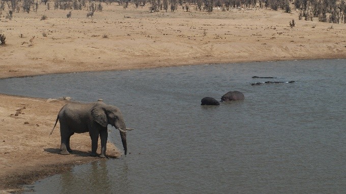 safari 14
