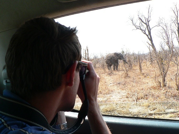 safari 20