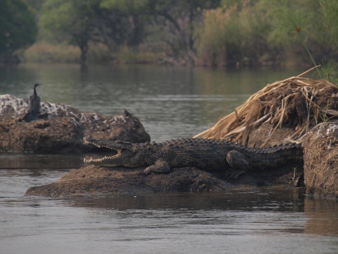 Botswana 01