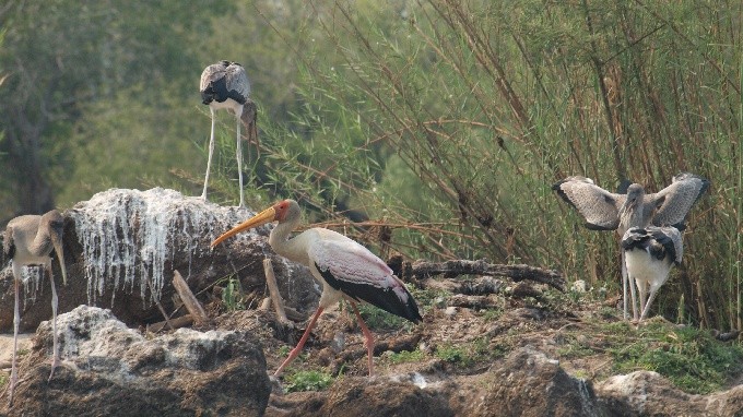 Botswana 02