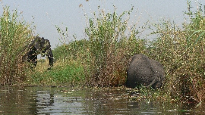 Botswana 03