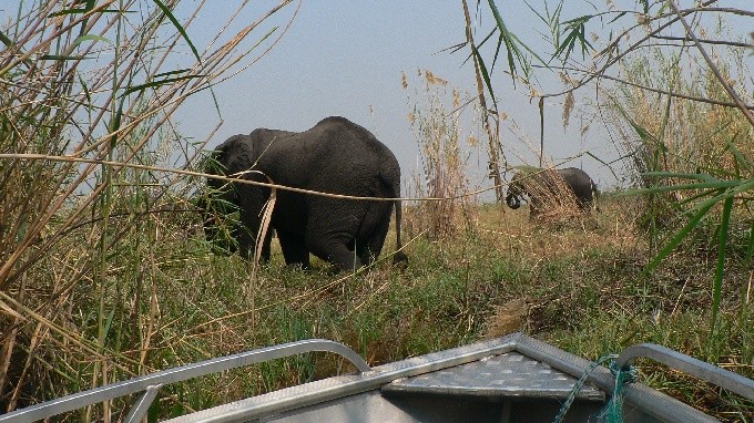 Botswana 04