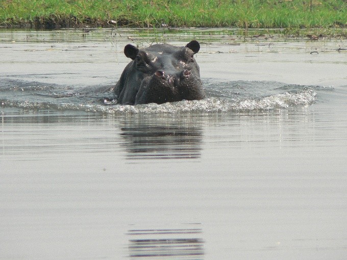 Botswana 05