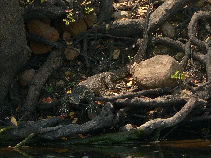 Botswana 06