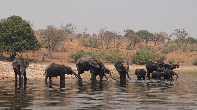 Botswana 07