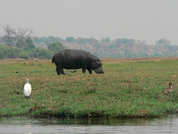 Botswana 08