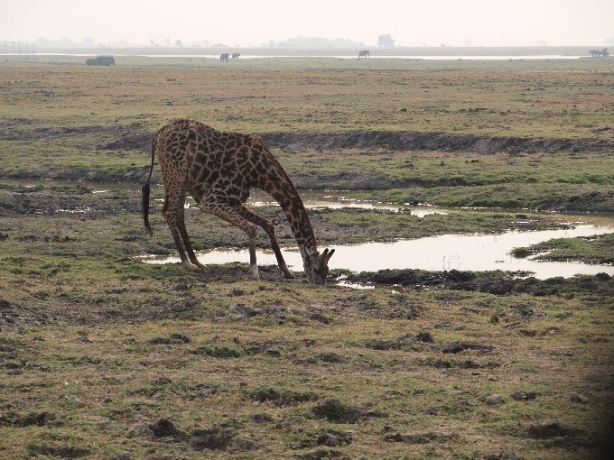 Botswana 13