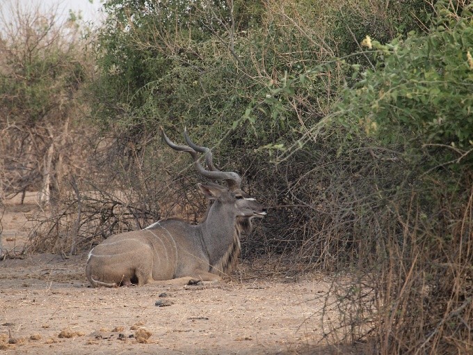 Botswana 14