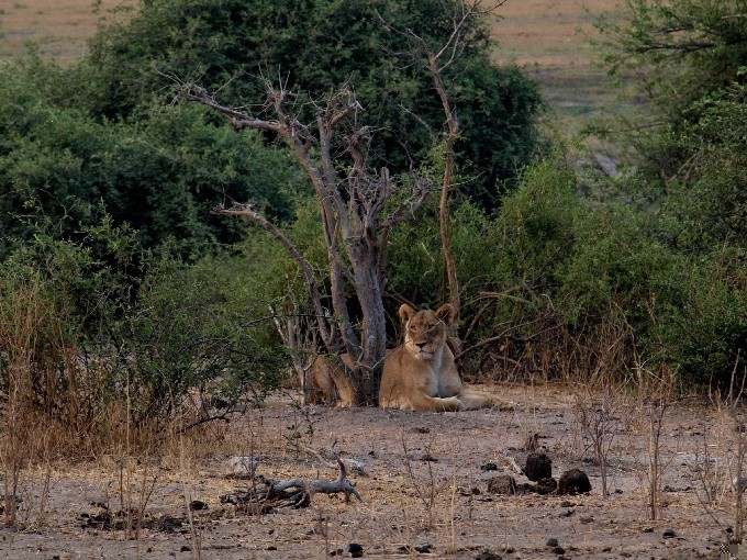 Botswana 16