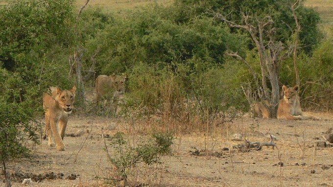 Botswana 17