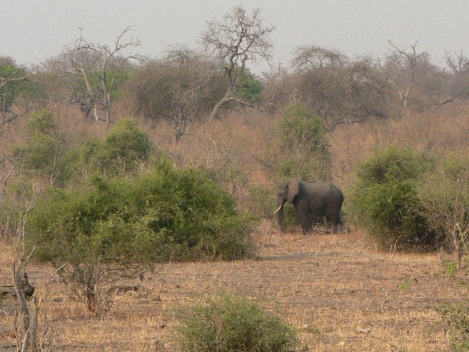 Botswana 21